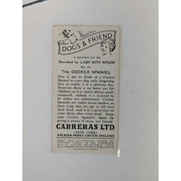 Vtg Cocker Spaniel Photos Framed Dogs and Friend Black White Lady Kitty Ritson - Picture 6 of 8